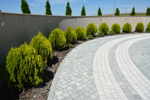 Reasons to Select Us for Your Driveway Paving Requirements in Carson City, MI